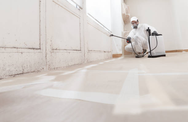 24/7 Emergency Mold Inspection experts in Chantilly, VA